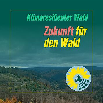 🌲 Ein Blick in den Harz reicht, um zu verstehen; unseren Wäldern geht es nicht gut. Wir stehen vor großen Aufgaben.

💪...